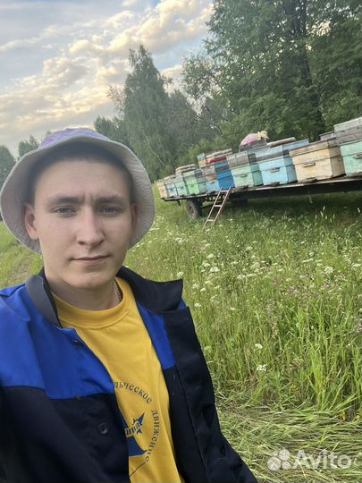 Мед липовый и разнотравье(цветочный)