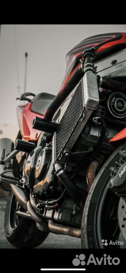 Honda vfr 800