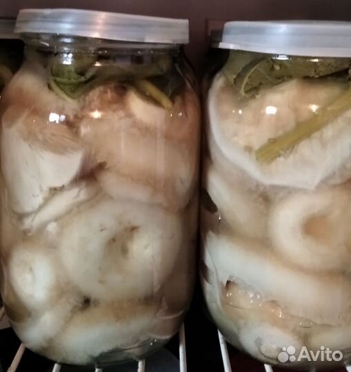 Грибы солёные и маринованные