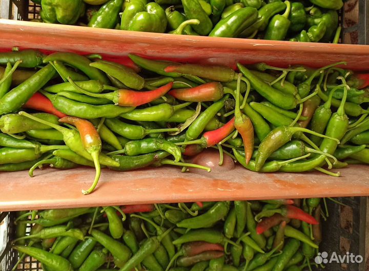 Семена томатов,перца,укропа