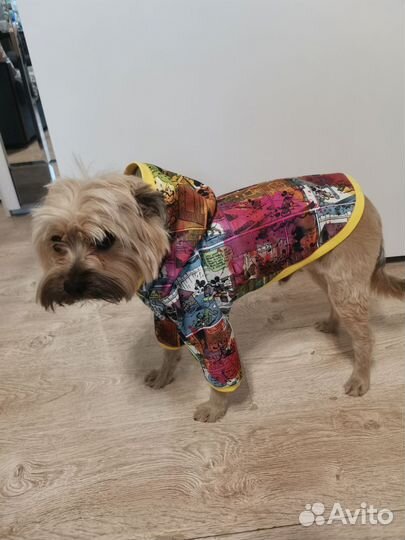 Худи для собаки