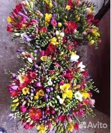 Фрезии луковички ассорти