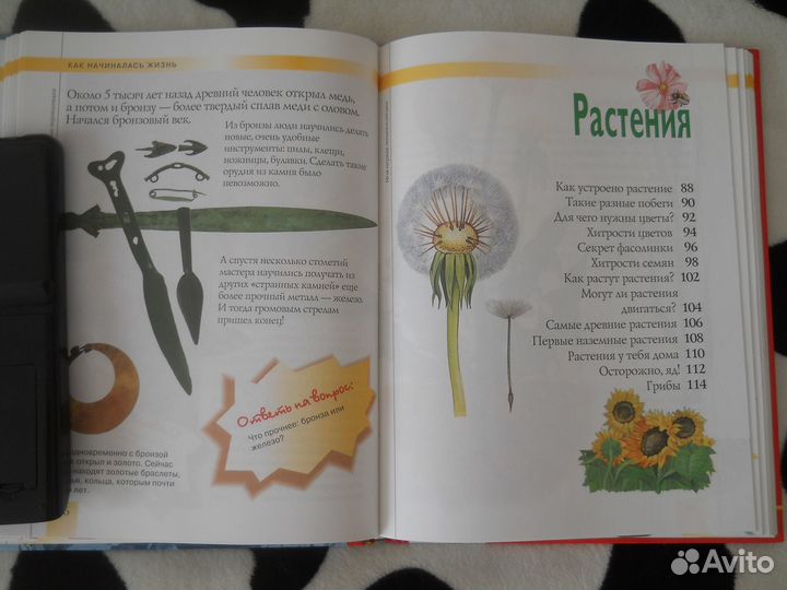 Моя Первая Энциклопедия