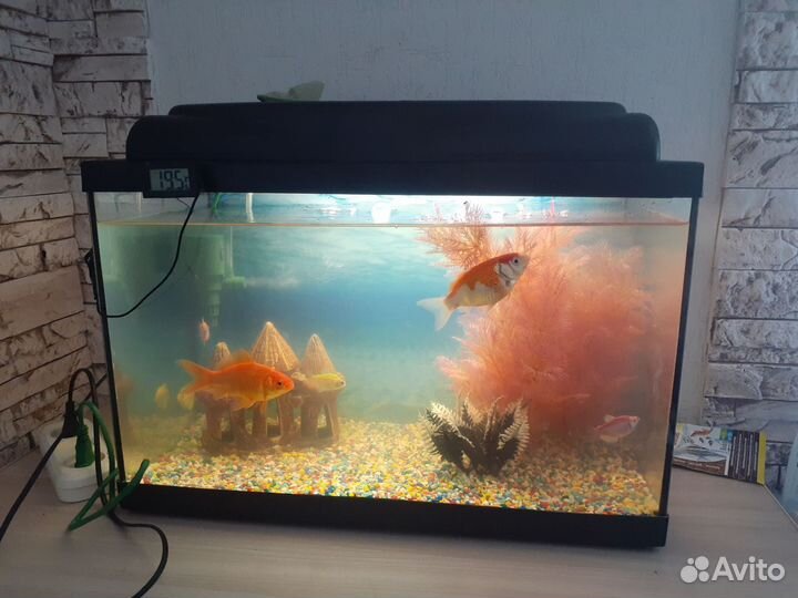 Аквариум