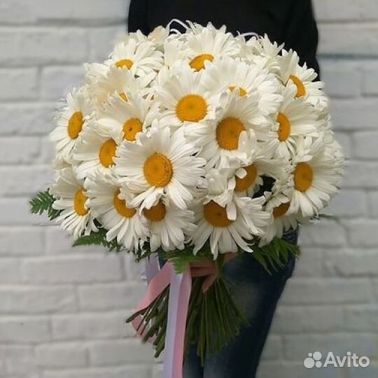 Цветы ромашки. Букеты ромашек. Ромашки. Цветы