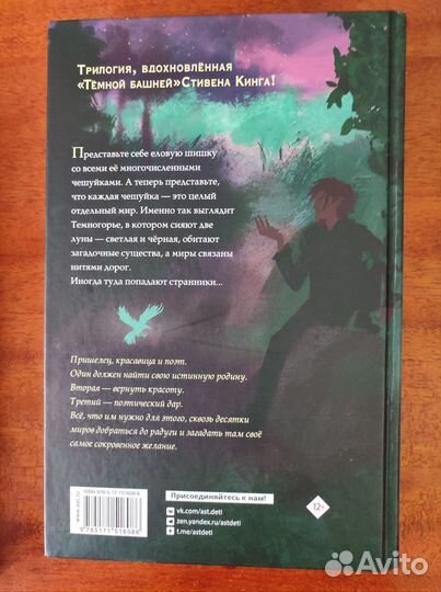 Книги серии Темногорье