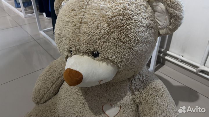 Плюшевый медведь
