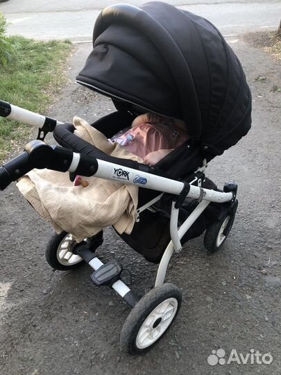 Коляска 2 в 1 adamex
