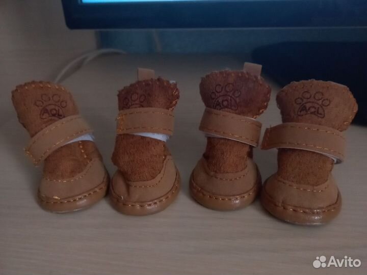 Обувь для мелких собак