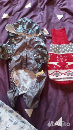 Вещи для маленьких собак