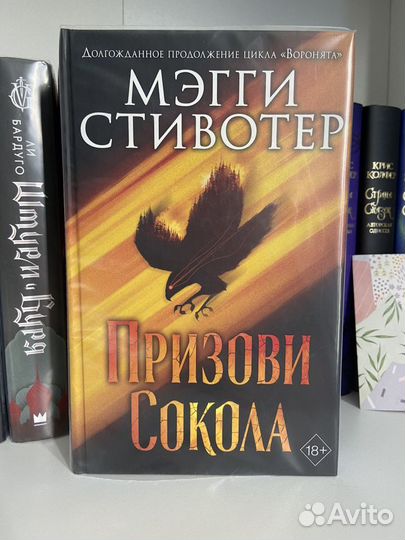 Не того призвали книга 3. Призови Сокола Мэгги Стивотер.