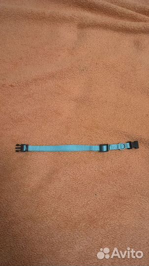 Ошейник для маленькой собаки