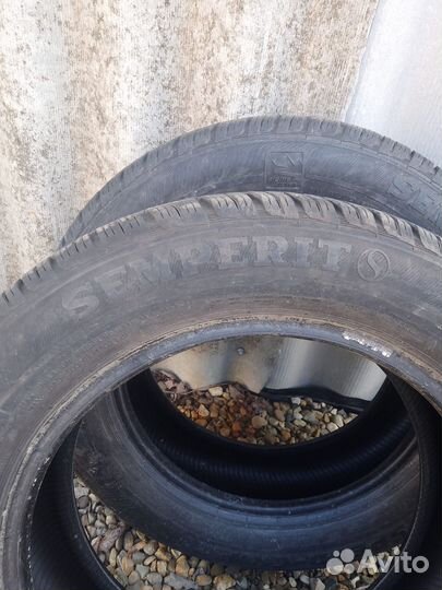 Semperit Speed Grip 2 185/60 R15