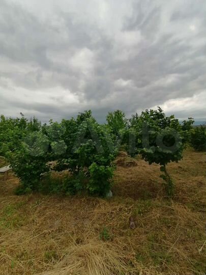 Участок 40 сот. (СНТ, ДНП)