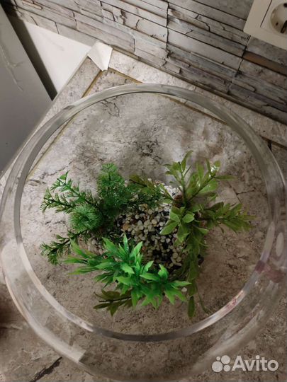 Аквариум круглый