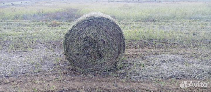 Сено в тюках