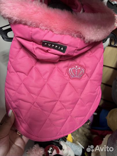 Одежда для животных