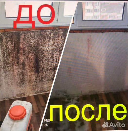 Уничтожение удаление обработка грибка плесени