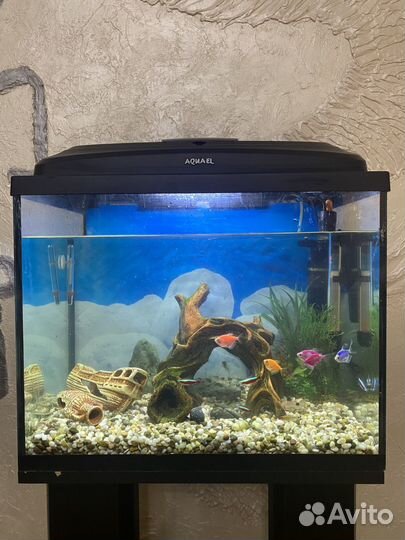 Аквариум 60 л с тумбой
