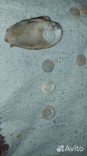 Пуговицы СССР перламутр из морских раковин