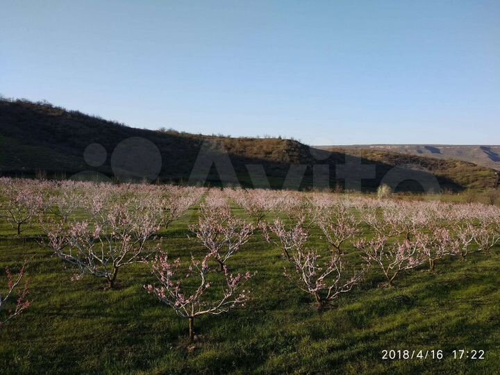 Участок 1,5 га (СНТ, ДНП)
