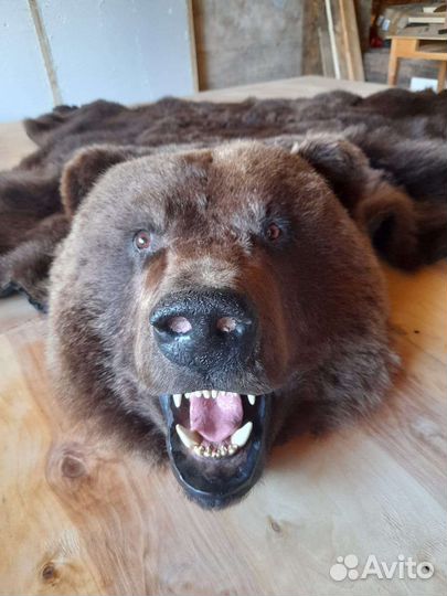 Имитация ковер Медведь