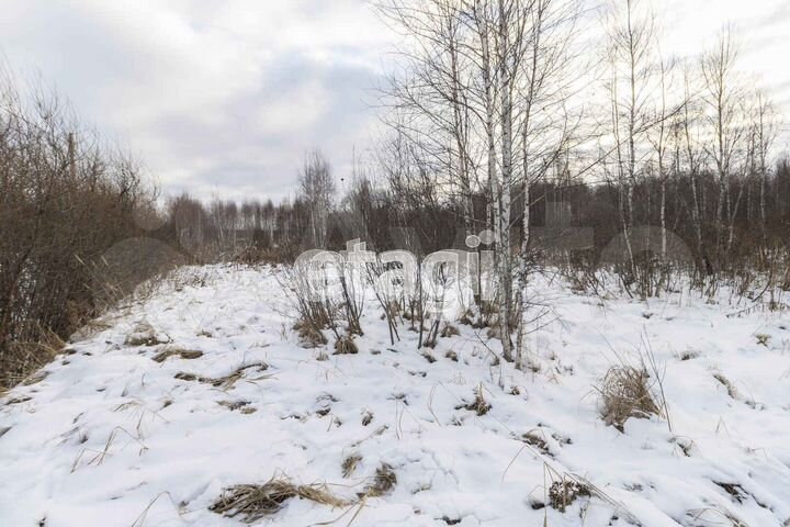 Участок 10 сот. (СНТ, ДНП)