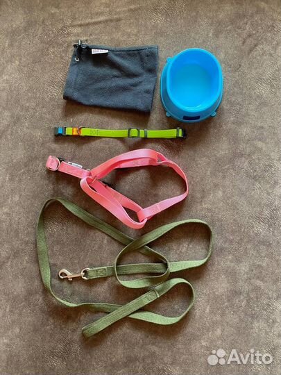 Вещи для собак и кошек