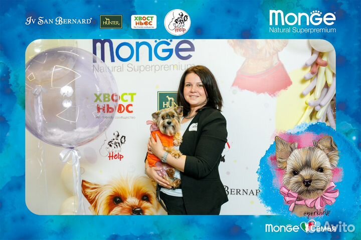 Передержка собак