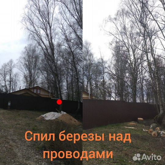 Спил деревьев,расчистка участков,демонтаж построек