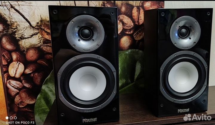 Колонки Magnat Quantum 653