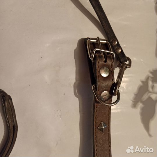 Ошейник с поводком для собаки