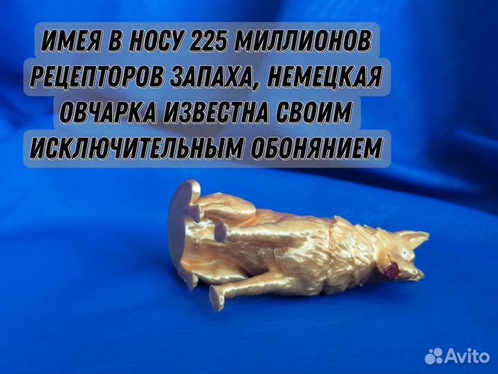 Овчарка. Немецкая овчарка. Собачка. Щенки