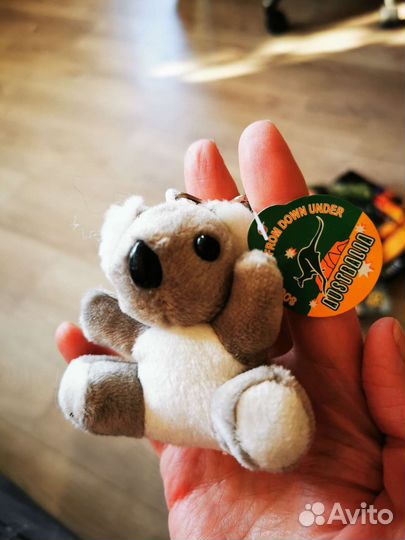 Сувениры из Австралии. Оригинальные вещички
