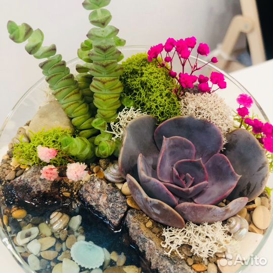 Флорариум с суккулентами