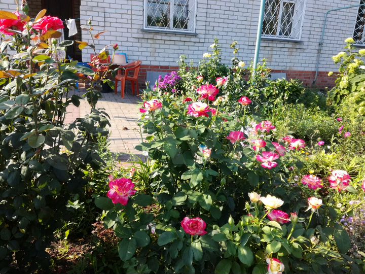 Дом 180 м² на участке 14 сот.