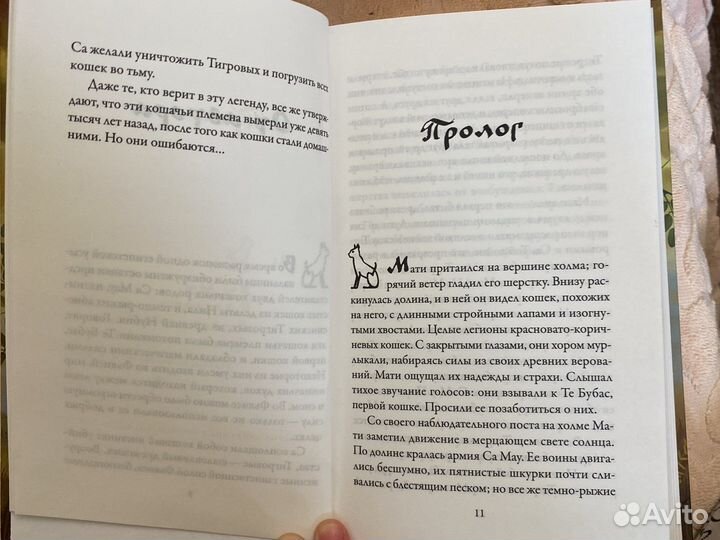 Бегство Тигрового кота(Инбали Изерлес)