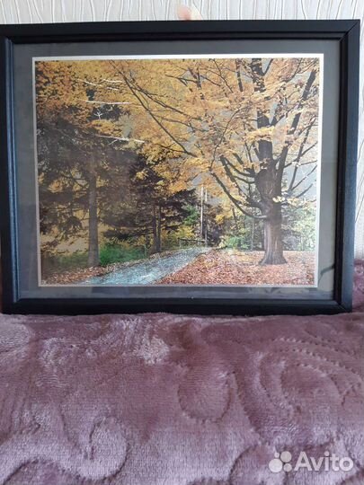 Картина по номерам новая