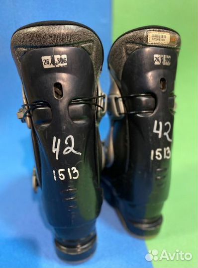 Ботинки для горных лыж