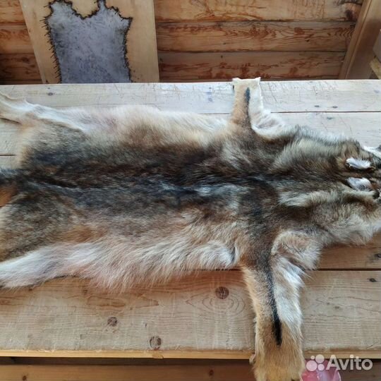 Шкура Волка ковер