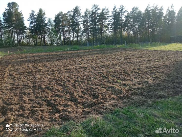 Сад благоустройство