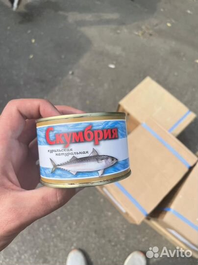 Консервы
