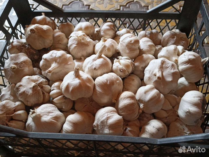 Овощи фрукты