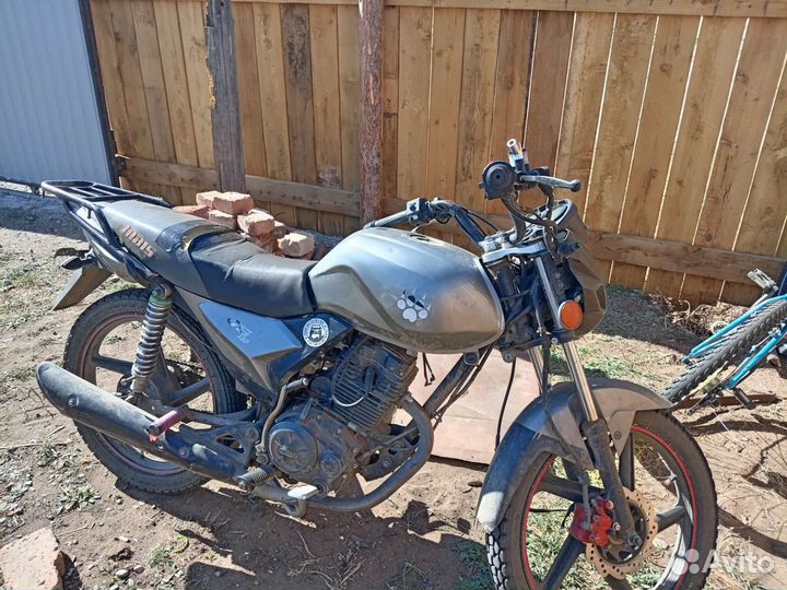 Продаю или обмен ирбис гс 150