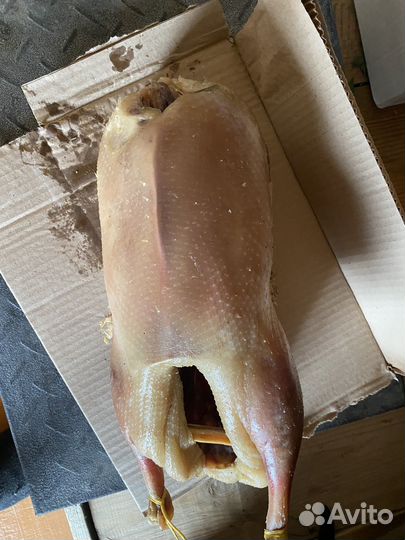 Гуси, гусиное мясо, гуси вяленные, гуси копченые