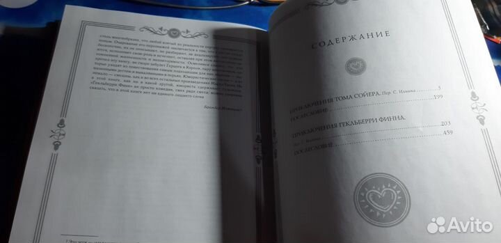 Приключения Тома Сойера и Гекльберри Финна