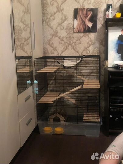 Клетка для грызунов бу