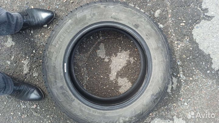 Pirelli Ice Zero 195/65 R15