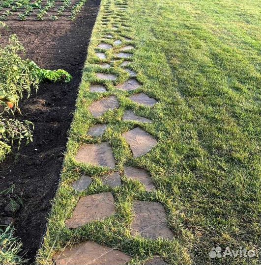 Рулонный газон, газон посевной