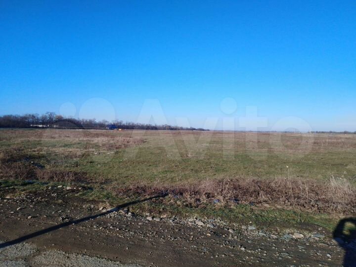 Участок 95 сот. (СНТ, ДНП)